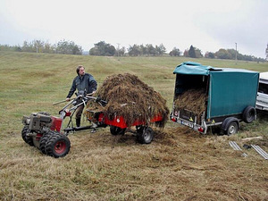 Briggs & Stratton Panter FD3 mootorplokk (500cc) (5 foto / 10)