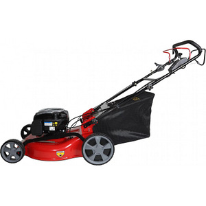 Briggs & Stratton Rider WYZ-22H-4 bensiinimootoriga muruniid (3 foto / 8)