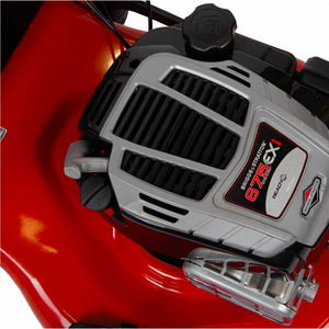 Briggs & Stratton Rider WYZ-22H bensiinimootoriga muruniiduk (2 foto / 7)