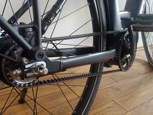 Elektrijalgratas DIAMONT BERYLL ESPRIT+ (3 foto / 8)