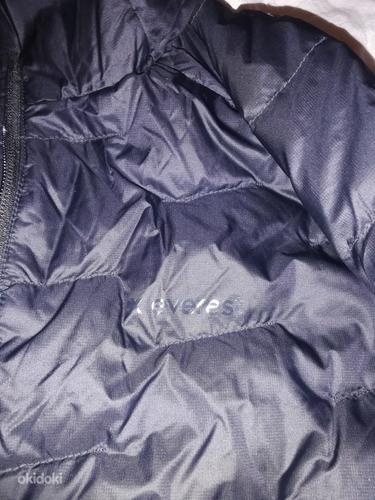 Everest куртка новая (фото #1)