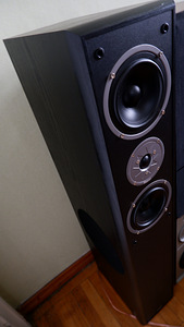 Kõlarid Magnat Monitor Supreme 2500 2tk. (3 foto / 3)