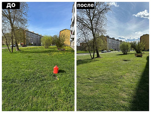 Muru niitmine ja krundi hooldus (1 foto / 2)