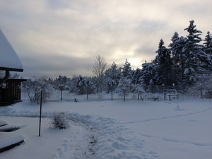 Otsime oma suvekodule Laulasmaal uut omaniku (16 foto / 16)