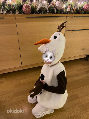 Olafi uusaastakostüüm lumemehes. (foto #5)