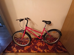 Jalgratas Ma labike (2 foto / 5)
