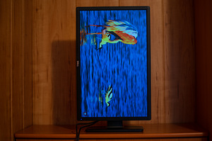 Dell UltraSharp U2412M (3 foto / 9)