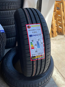 205/60/R15 Minerva F209 91H (1 foto / 1)