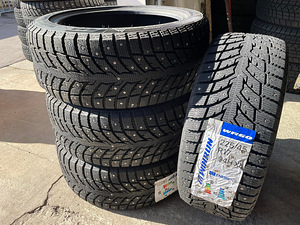 225/45/R17 Winrun Winter-Max S1 WR60 (1 foto / 1)