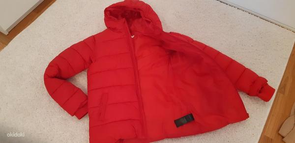 Зимняя куртка для мальчиков Debenhams, размер 152/156, 12/13 (фото #2)