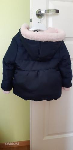 Зимняя куртка для девочки Bluezoo / Debenhams, размер 86/92 (фото #2)