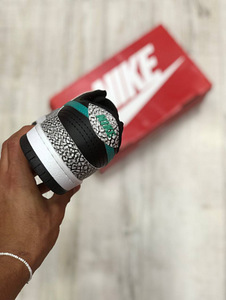Nike tossud Dunk SB Madala atmosfääriga Elephant (2 foto / 5)