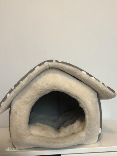 Собачье гнездо (фото #1)