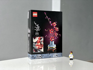 Uus Lego Botanicals 10369 Plum Blossom Lego (2 foto / 9)