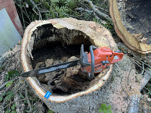 Arboristi tööd (2 foto / 2)