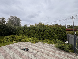 Heki pügamine (6 foto / 9)