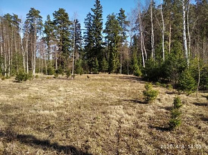 Kraavikalda, Haaslava, Kastre vald, Tartumaa (3 foto / 6)