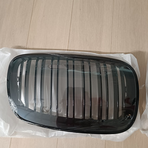 Решетка/гриль/Ноздри BMW e70 (2 фото из 3)