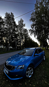 Skoda Octavia (5 фото из 8)