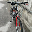 Велосипед с мотором 110 сс (foto #2)