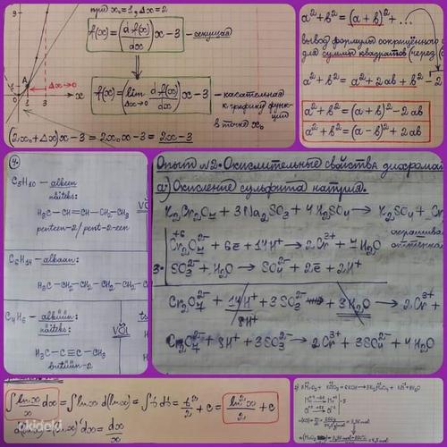 Keemia ning matemaatika eratunnid (foto #3)