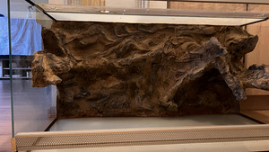 Terraarium 100x50x50 (1 foto / 8)