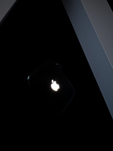 Apple watch series 8 41mm roostevabast terasest koos rihmaga (3 foto / 9)