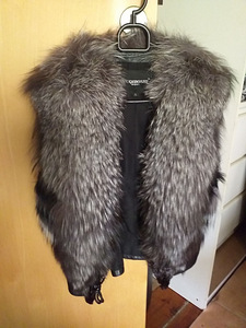 Hõberebase vest xs-s (1 foto / 3)