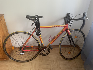 Trek 1000SL Road Bike