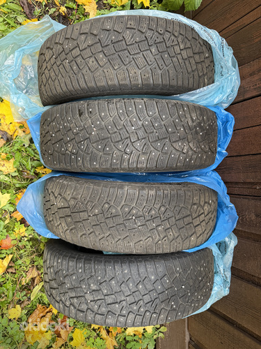 225 65 r17 Continental IceContact 2 talverehvid