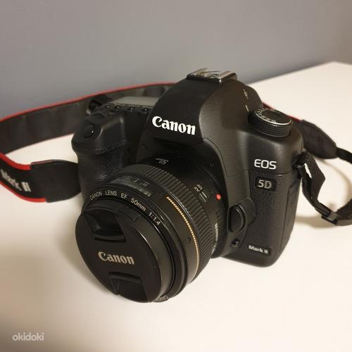 Canon EOS 5D Mark II + Canon EF 50mm f/1.4 (фото #3)