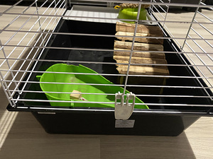 Puur asjadega / Cage with things (3 foto / 4)