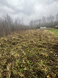Maardu tee, Uusküla, Jõelähtme vald, Harjumaa (1 фото из 3)
