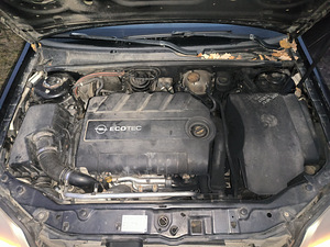 Opel Signum (11 foto / 13)