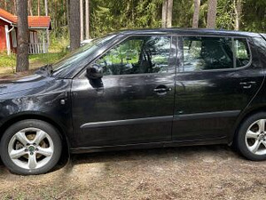 Skoda Fabia 1.2 55 kW TDI 2011 (3 foto / 15)