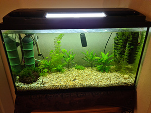 Akvaarium 150l (1 foto / 8)