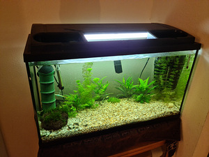 Akvaarium 150l (2 foto / 8)