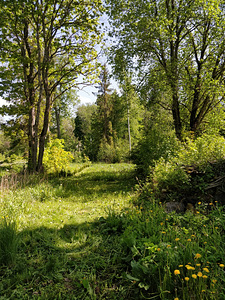 Ussitatra, Pikavere, Raasiku vald, Harjumaa (5 фото из 12)