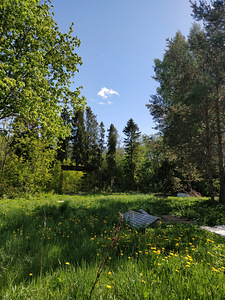 Ussitatra, Pikavere, Raasiku vald, Harjumaa (4 фото из 12)