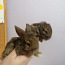Кролики (фото #1)