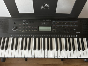 Yamaha PSR-E273 (2 foto / 6)