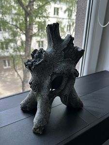 Triivpuu akvaariumis (1 foto / 3)