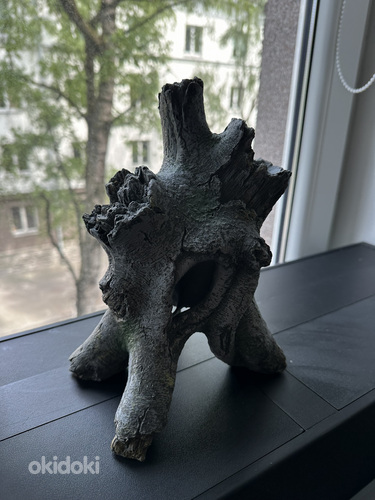 Triivpuu akvaariumis