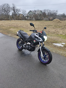 Aprilia Pegaso Strada 660 (1 фото из 6)