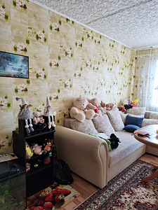 Iidla tn 14, Ahtme, Kohtla-Järve, Ida-Virumaa (6 foto / 18)