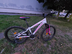MEGAMO 24 (8 foto / 9)
