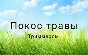 Покос травы (1 фото из 5)