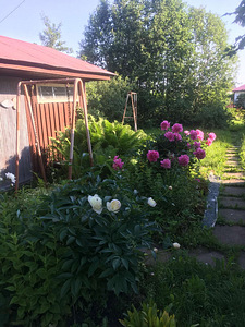 Suvila, Ida Virumaa, Sillamäe, AÜ Sputnik (5 фото из 16)