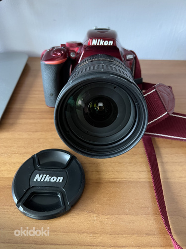 Nikon d5500 + Nikon AF-S DX VR Zoom-Nikkor 18-200mm f/ 3.5-5 (foto #4)