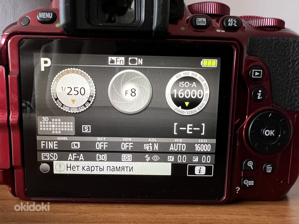 Nikon d5500 + Nikon AF-S DX VR Zoom-Nikkor 18-200mm f/ 3.5-5 (foto #9)